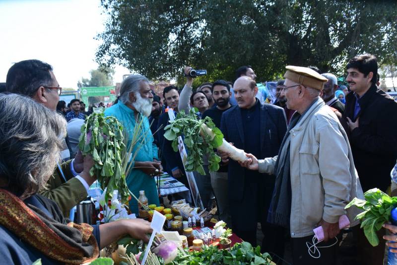 Kitchen gardening festival held UAF