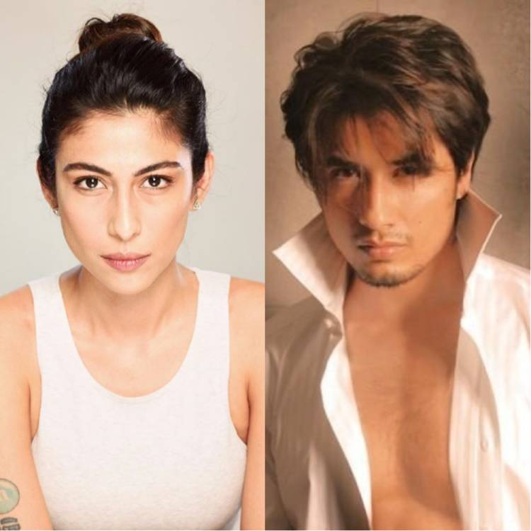 Court to announce verdict on Ali Zafar’s petition on Thursday