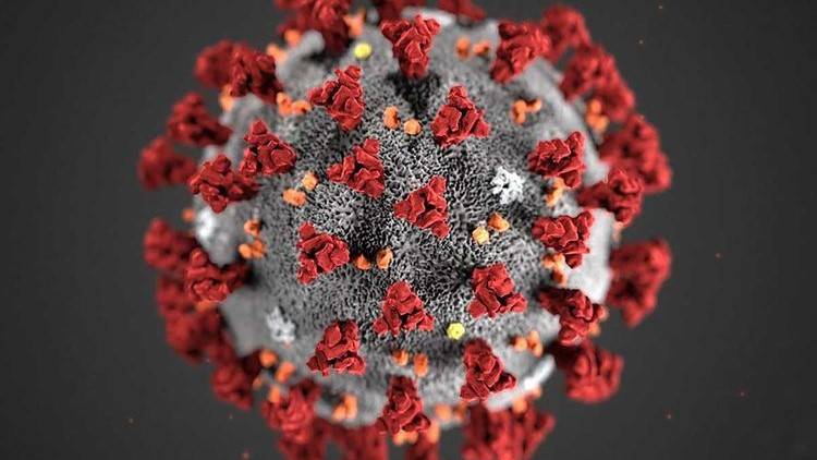 What's in a name? WHO tiptoes around what to call virus