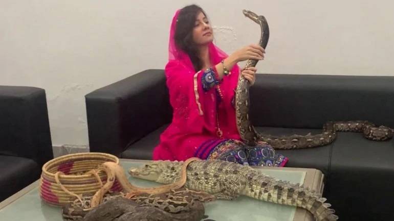 Singer Rabi Pirzada acquitted in wildlife case