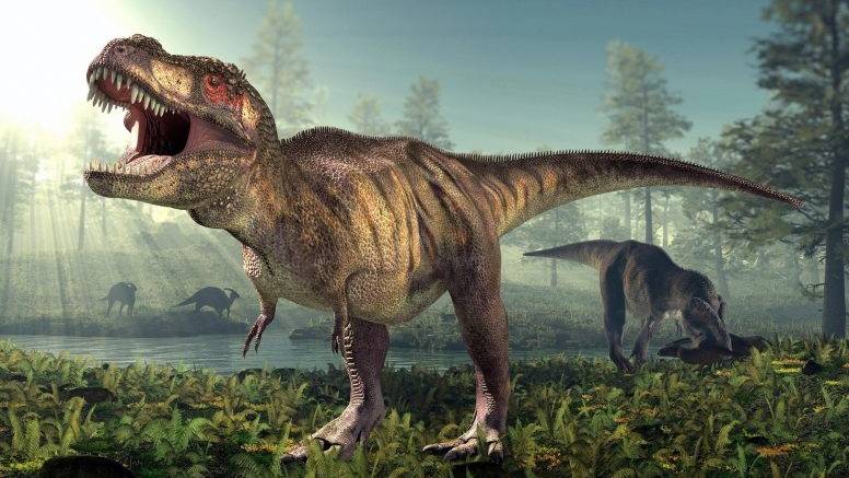 Argentine researchers find distant Tyrannosaurus relative