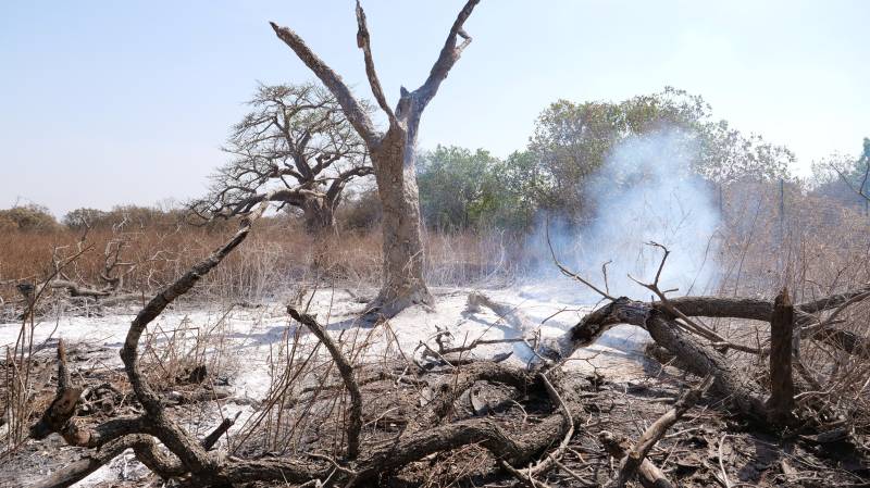 Australia launches national inquiry into bushfires