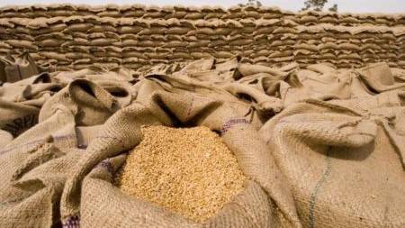 ACE digs out wheat theft worth Rs36m in Sindh