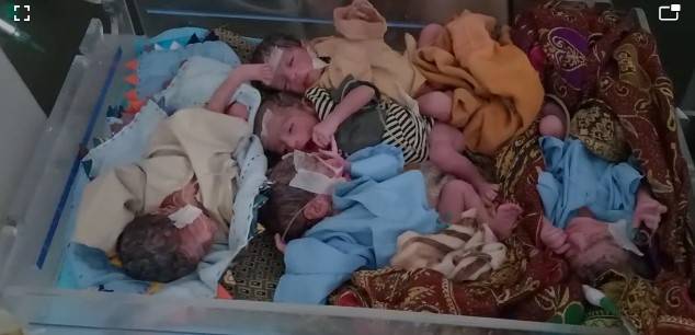 Taunsa woman gives birth to quintuplets