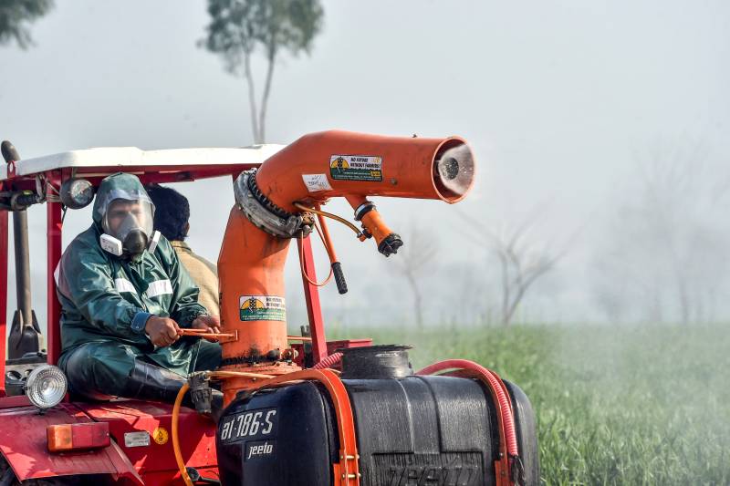 Pakistan struggles to fight off devastating locust plague