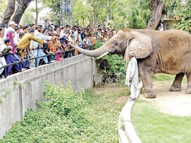 All zoos, wildlife parks in Punjab closed for 3 weeks