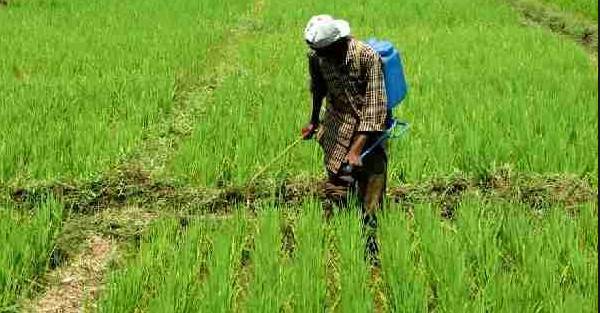 Sindh exempts agri stores from lockdown