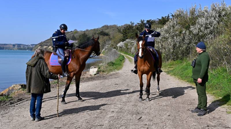 'A stranger stroked my horse' - French police inundated with oddball virus queries