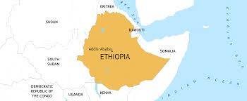 Ethiopia defers landmark August vote due to coronavirus  