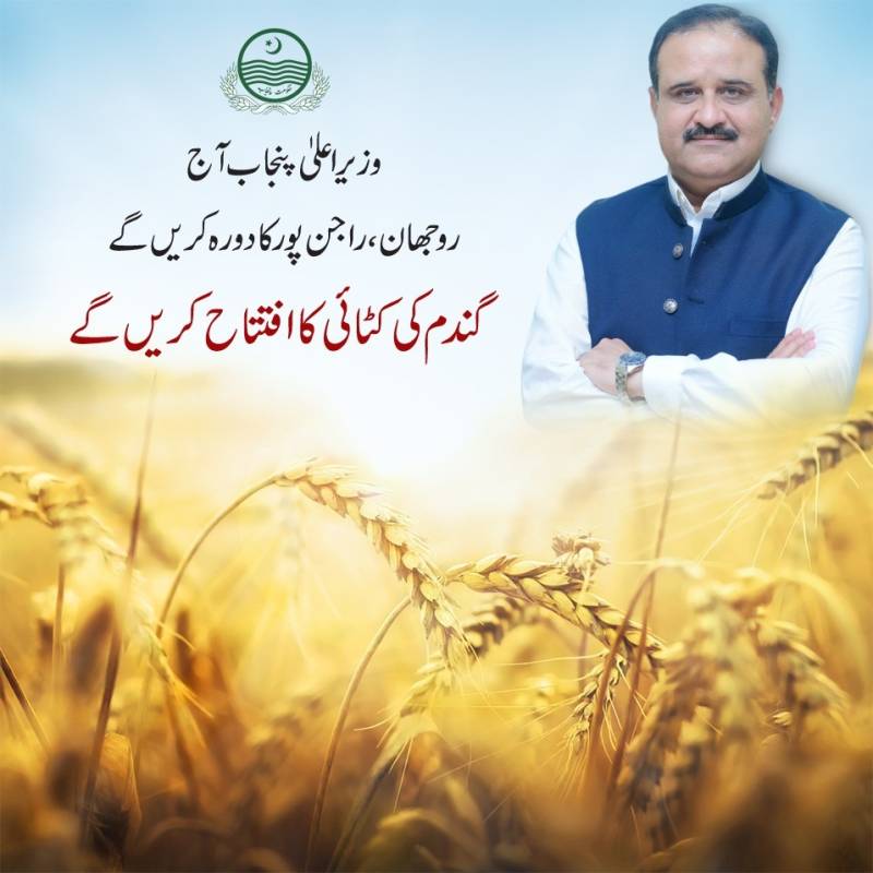 Punjab CM inaugurates wheat harvest drive