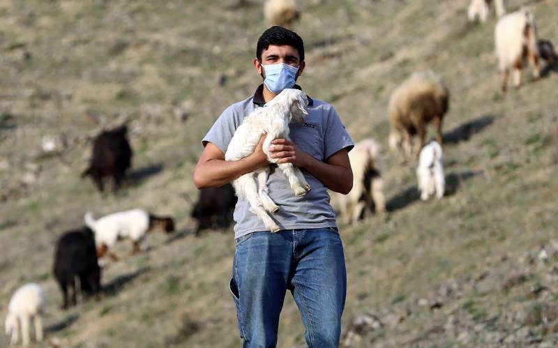 Turkey coronavirus deaths pass 1,000: minister