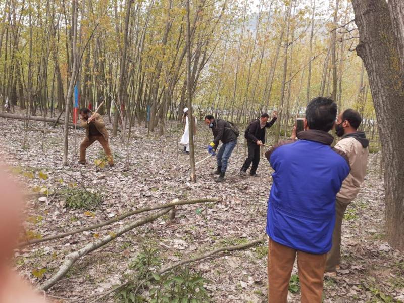 India axing 42,000 poplar trees in Occupied Kashmir to fight Covid-19