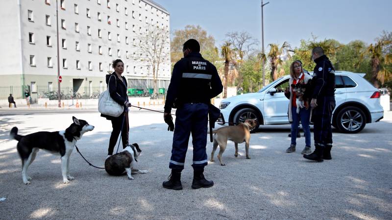 French to be allowed outside to adopt a pet