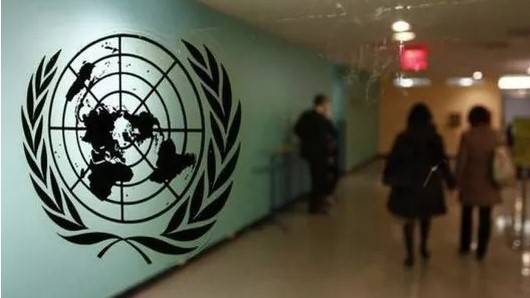 Despite disruptions, UN carries on by videoconference