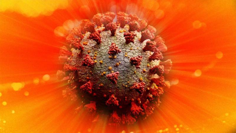 Sunlight kills coronavirus quickly, say US scientists