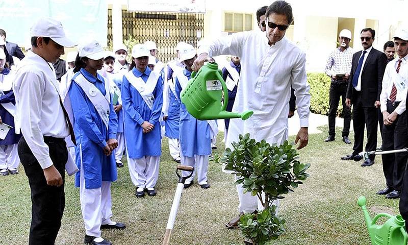 PM Imran highlights ‘jungle jobs’ for workers