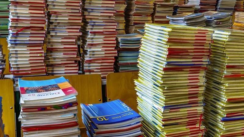 Punjab govt to distribute free textbooks in schools for new academic session