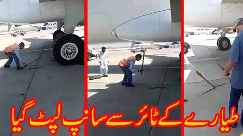 Snake stuck in plane's tyre at Islamabad airport creates panic 