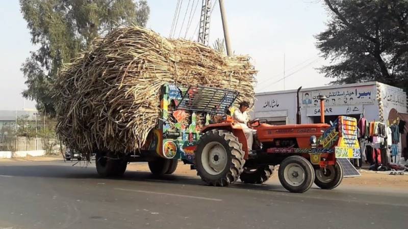 Sugar Mills Association splits over scam