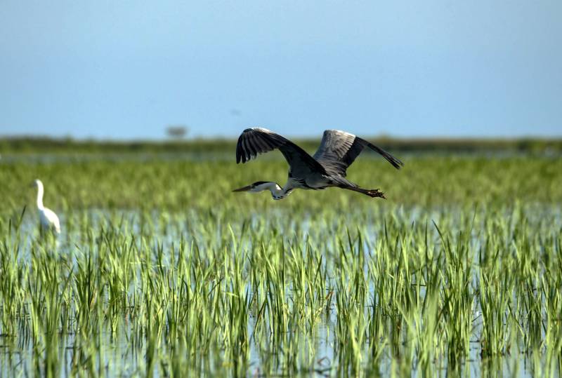 A vanishing way of life in Danube Delta's natural paradise