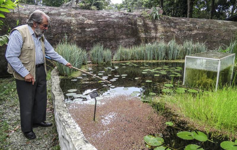 Gardener uses Colombia lockdown to save botanical paradise