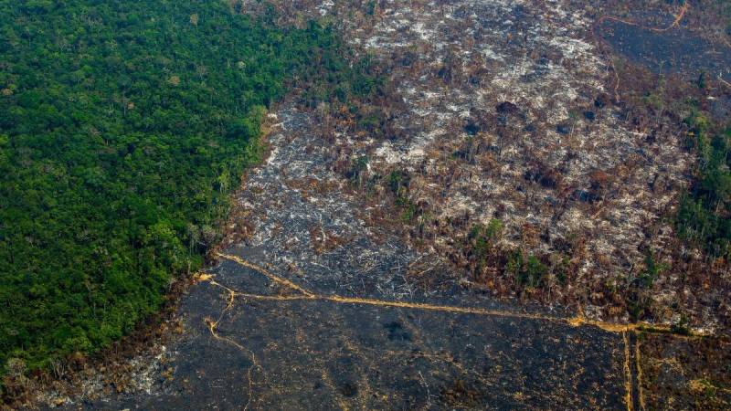 Amazon deforestation increases 25 percent in Brazil