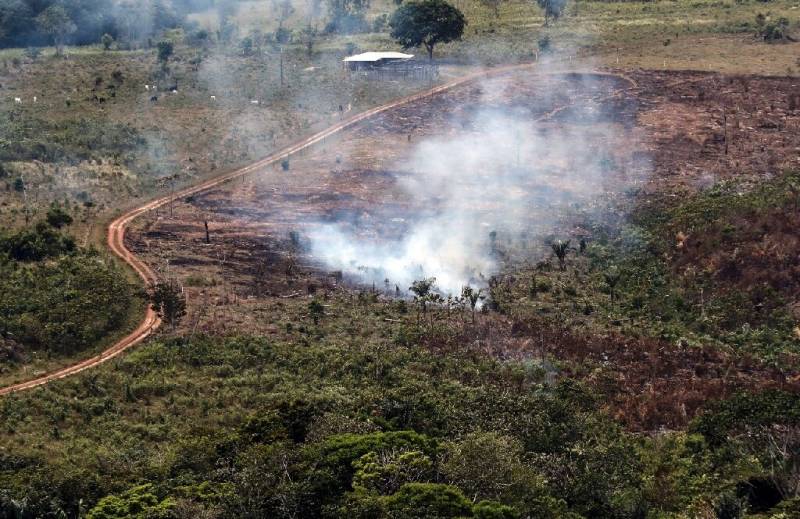 Colombia lost forest area the size of Sao Paulo in 2019