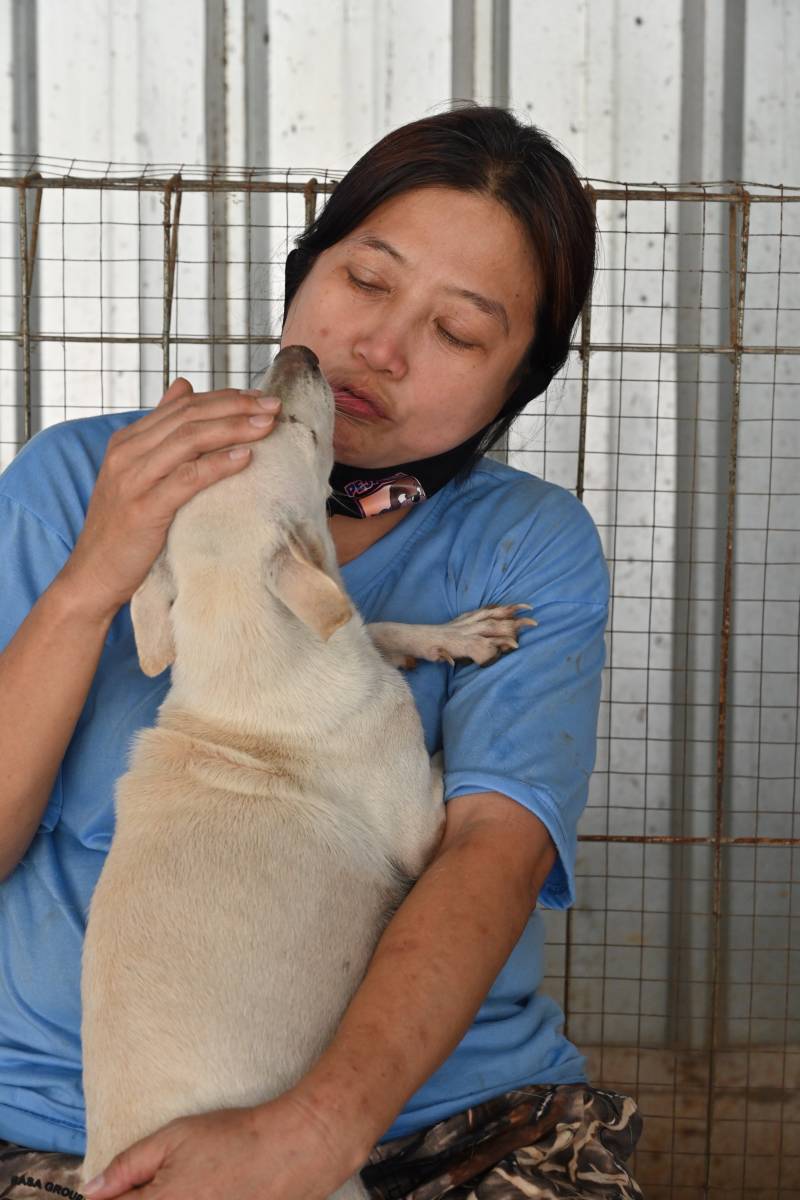 Indonesia 'dog doctor' rescues canines from pandemic peril