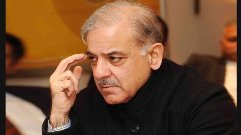 India has gone insane, says Shehbaz