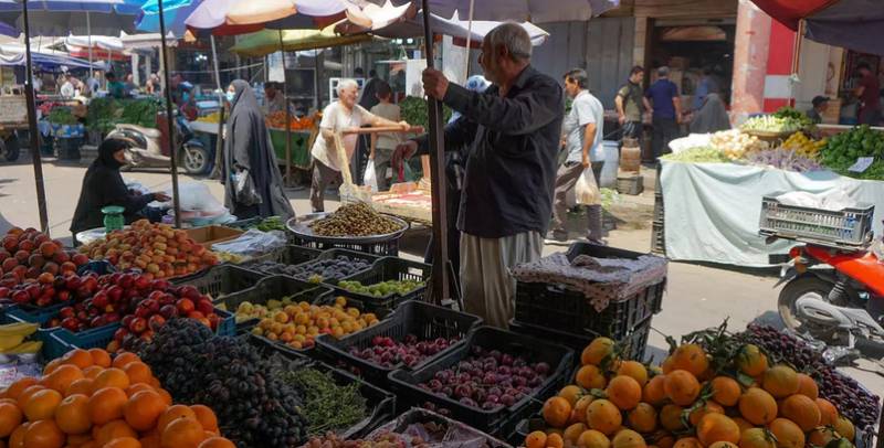 Pandemic has silver lining for Iraq: food self-sufficiency