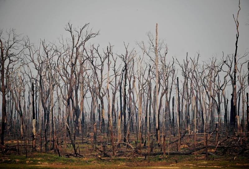 Brazil's Bolsonaro under pressure to protect Amazon