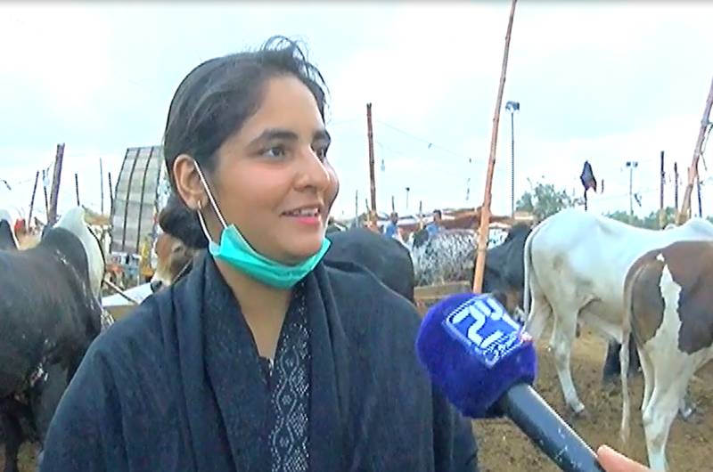 Female fashion designer turns cattle trader