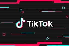 TikTok launches $200 million 'creator fund'