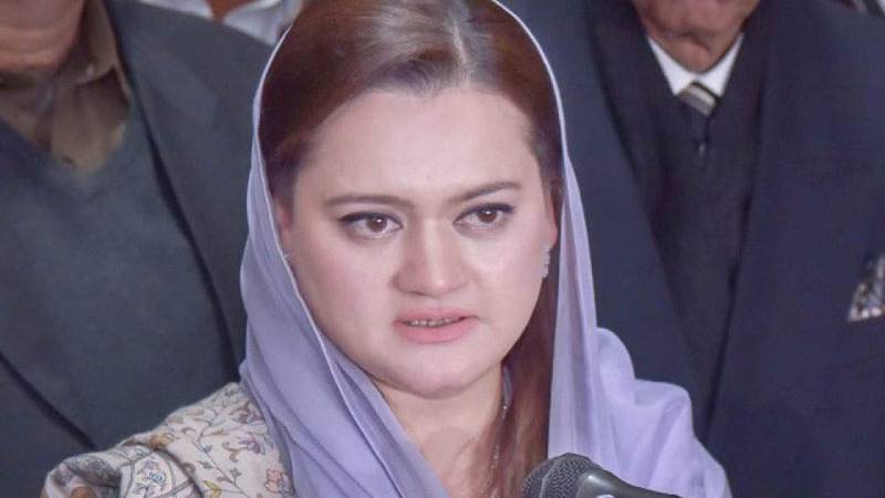 Marriyum slams PTI govt over ‘unbearable’ increase in prices