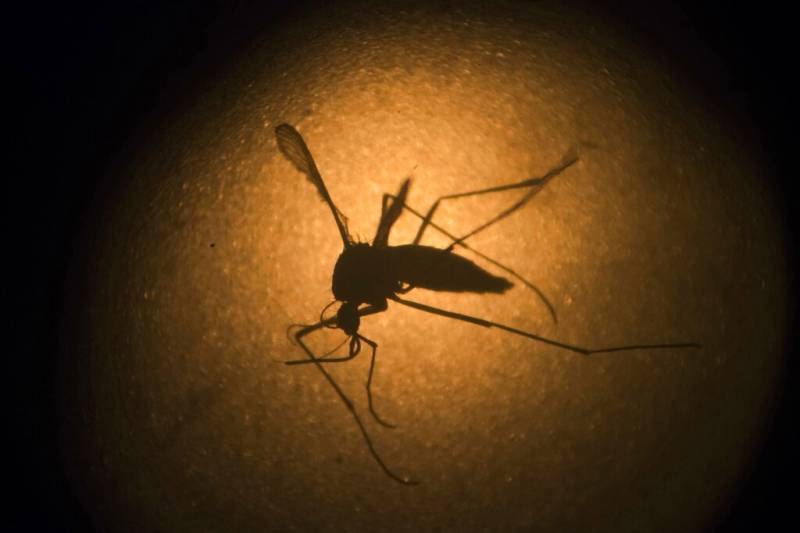 West Nile virus outbreak claims two lives in Spain