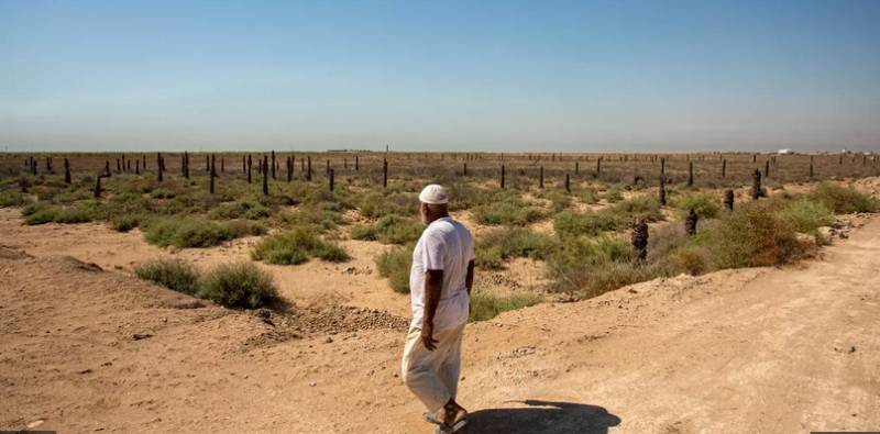 As neighbours build dams, Iraqis watch twin rivers dry up