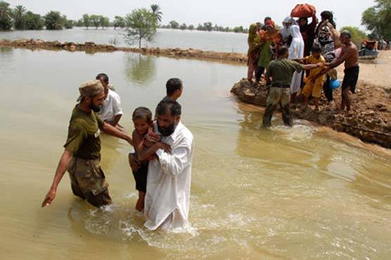 Canal breach destroys paddy fields in Depalpur