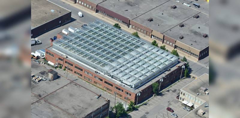 World's biggest rooftop greenhouse opens in Montreal