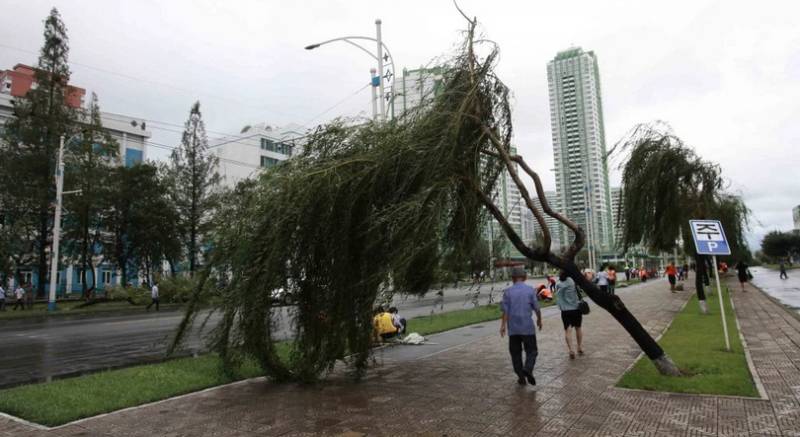 'Severe' punishment for N.Korea officials after typhoon casualties