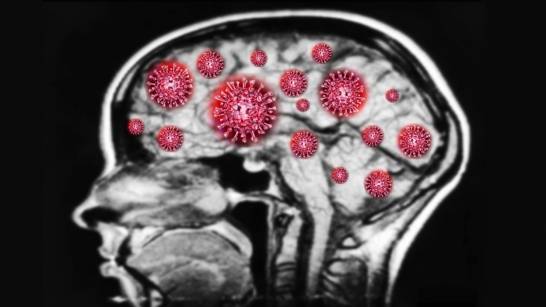 Coronavirus capable of invading brain: Study