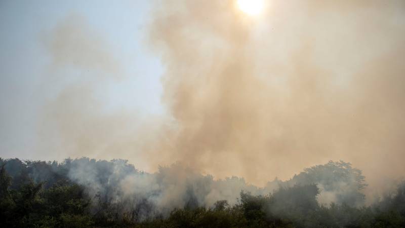 As Brazil's wetlands burn, rain is 'only hope'