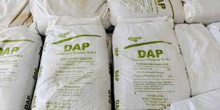 Govt ponders importing DAP fertilizer amid shortage fears 