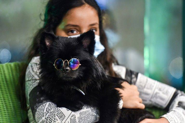 First dog cafe delights pet-lovers in changing Saudi Arabia