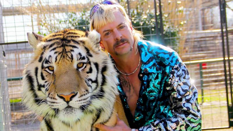 Europe's captive tiger trade 'risks spurring illegal demand'