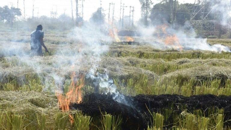 Delhi races to cut pollution on coronavirus warnings