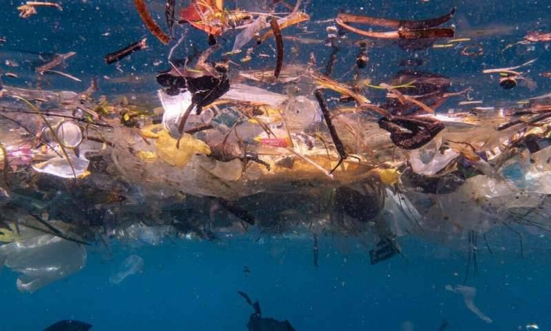 14 million tonnes of microplastics on sea floor: Study