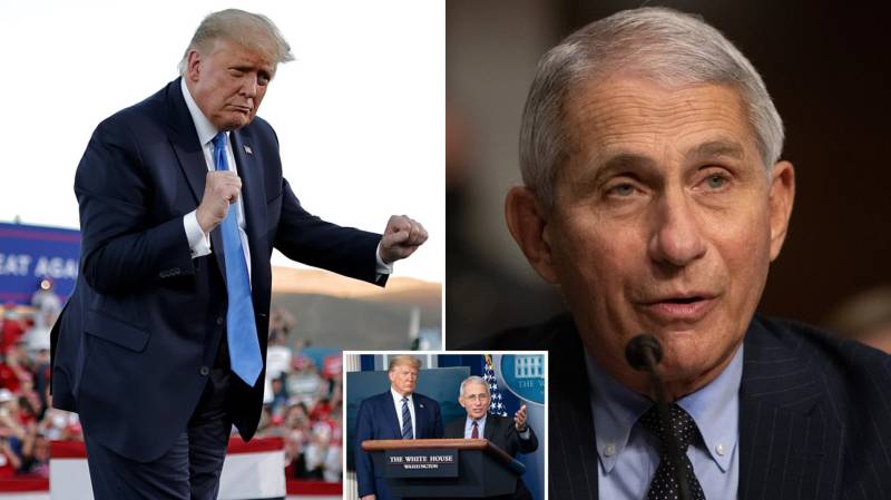 Trump slams govt Covid expert Fauci 'and all these idiots'