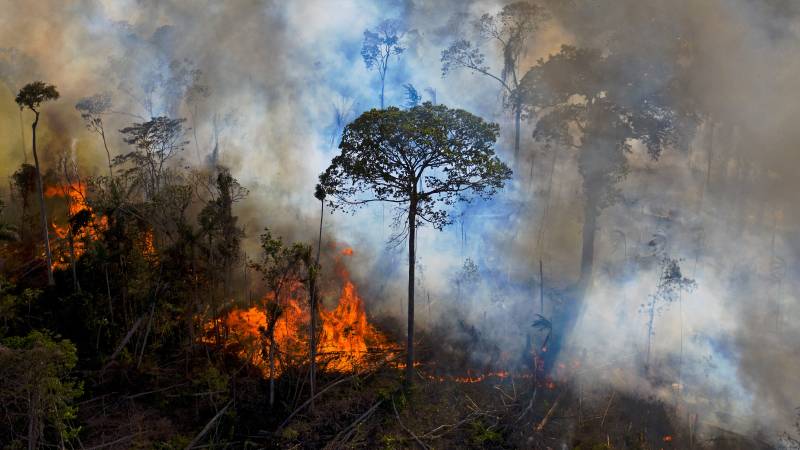 Record fires ravage Brazil's Amazon and Pantanal regions