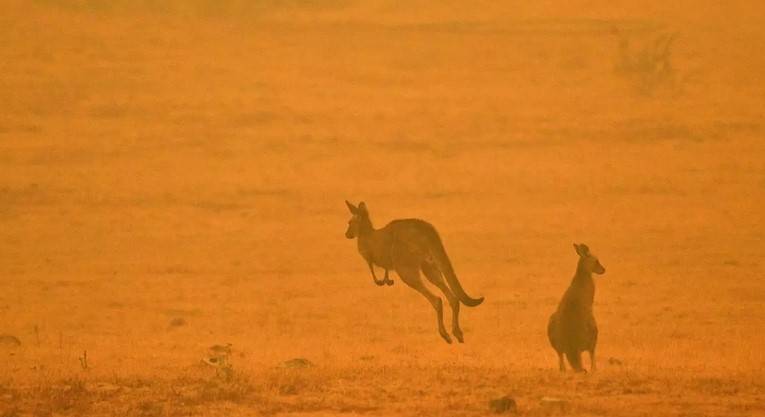 Climate change worsening Australia's extreme weather: Scientists