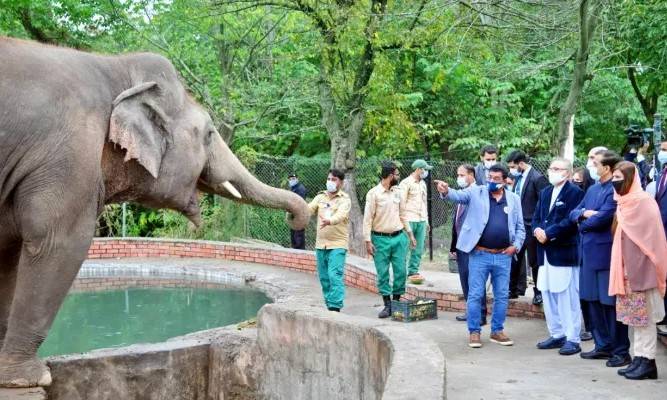 President Alvi, first lady say farewell to Kaavan